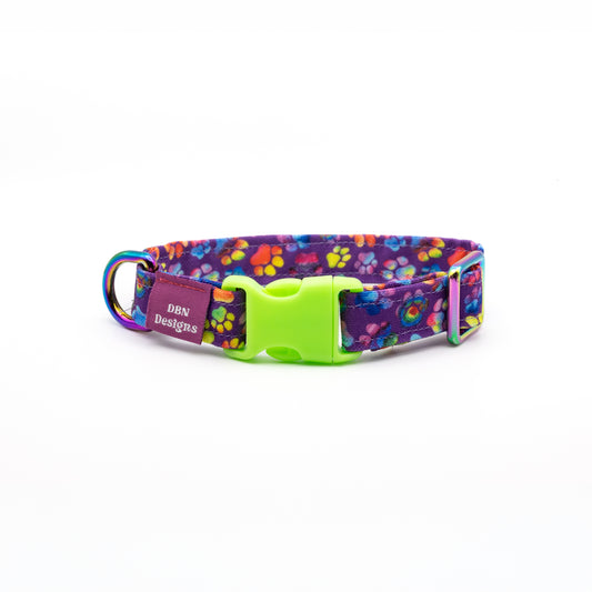 Rainbow Paws Dog Collar - Purple